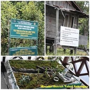 Catatan Backpacker: Taman Nasional Sebangau