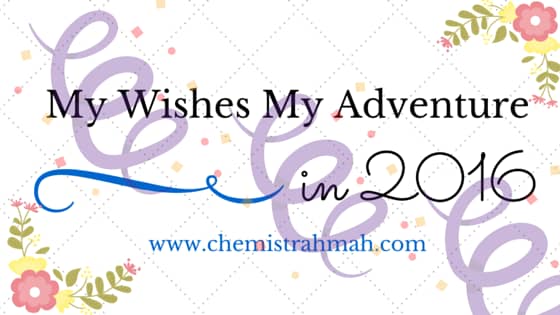 My Wish My Adventure in 2016
