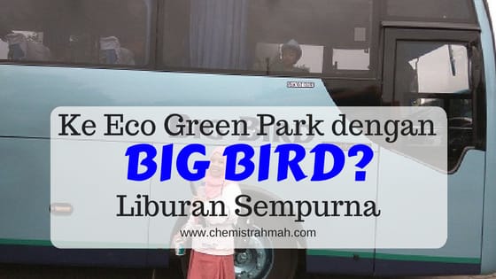 Ke Eco Green Park dengan Big Bird